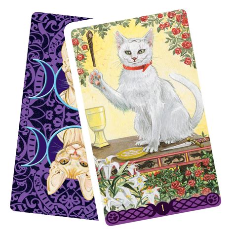 Tarot featuring pagan cats